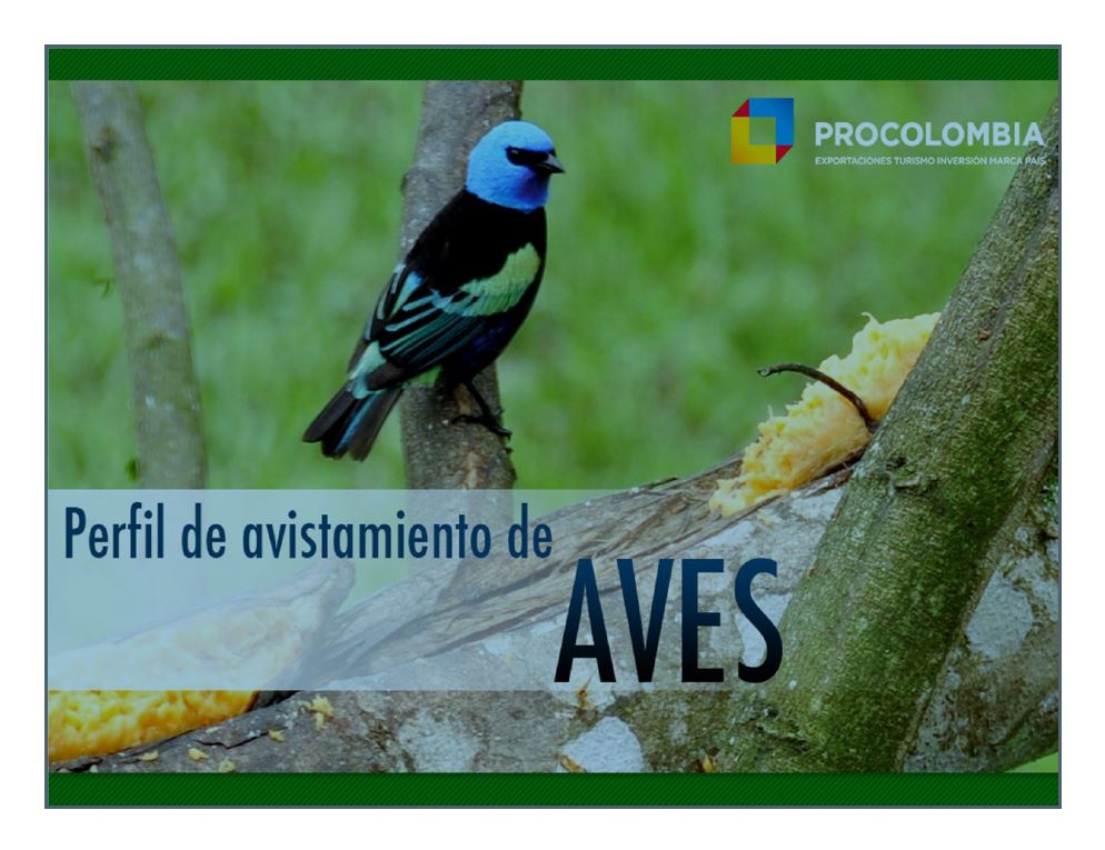 Perfil avistamiento de aves