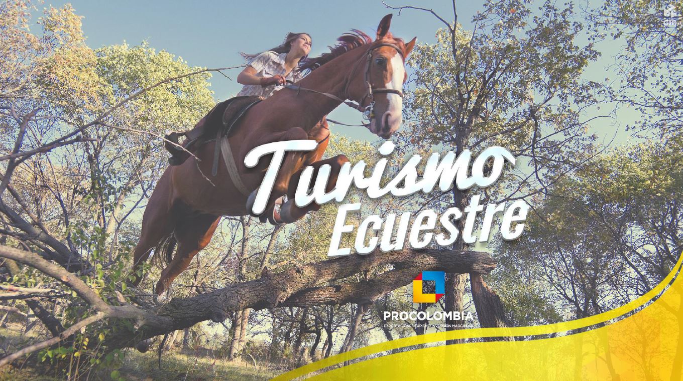 PERFIL TURISMO ECUESTRE