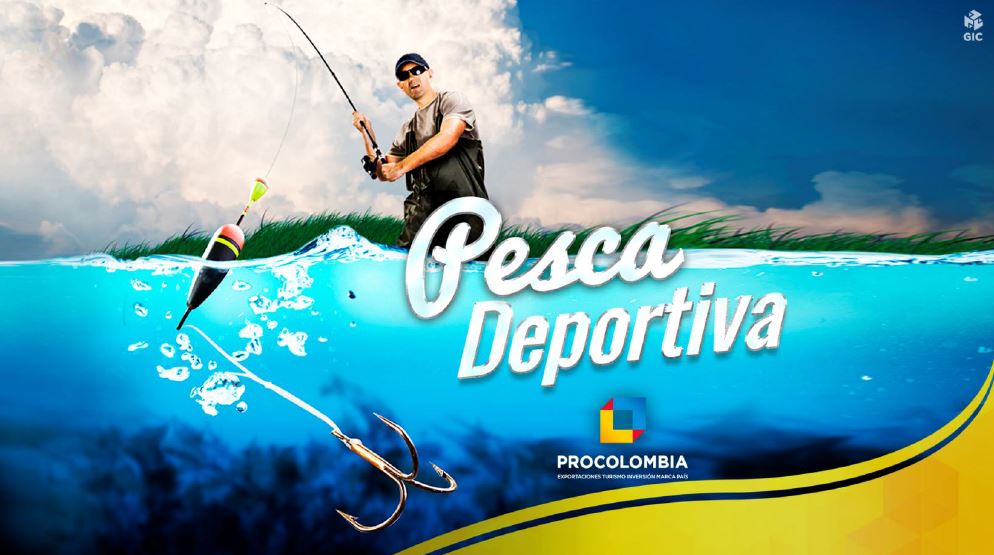 Perfil Pesca deportiva