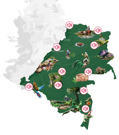 mapa-amazonico