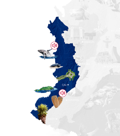 mapa-pacifico